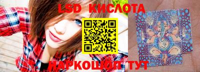 mdpv Славгород