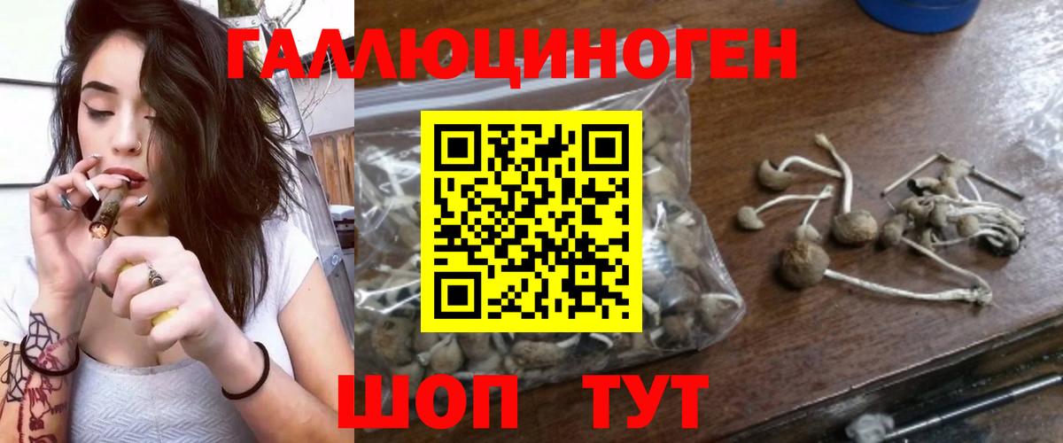 Псилоцибиновые грибы ЛСД  Галлюциногенные грибы GOLDEN TEACHER  Вход с VPN  Нарткала 