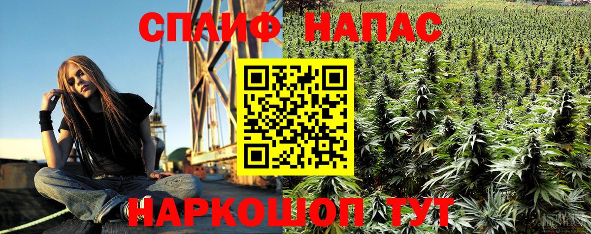 Бошки Шишки тримм  Марихуана MAZAR  Вход с VPN  Нарткала  Конопля конопля  Канабис гибрид 